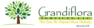 Grandiflora